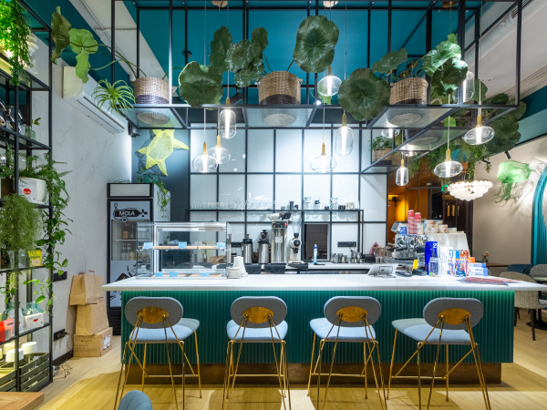 Кофейня «Mola Mola»